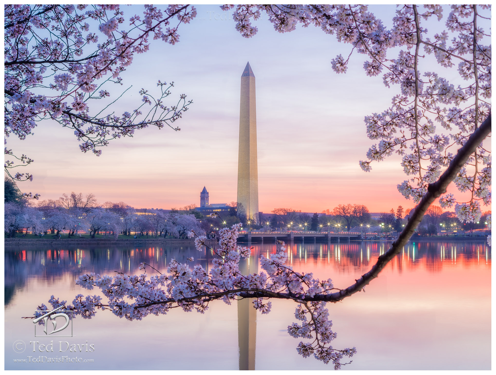 Limited Edition of 100 &nbsp;The Cherry Blossoms in Washington, DC are a marvelous sight to behold. Wispy layers of clouds hugged...
